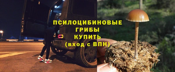 бошки Кинешма